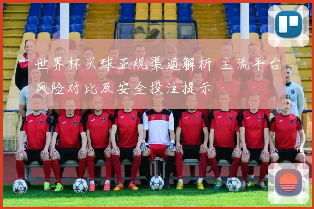 世界杯买球正规渠道解析 主流平台风险对比及安全投注提示